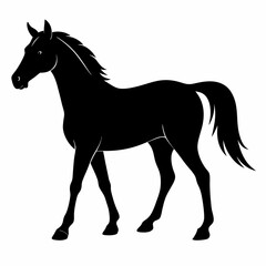 Horse Black silhouette