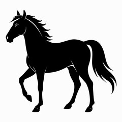 Horse Black silhouette