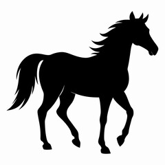 Horse Black silhouette