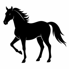 Horse Black silhouette