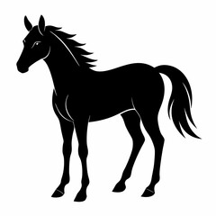 Horse Black silhouette