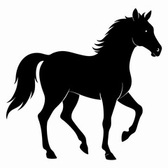Horse Black silhouette