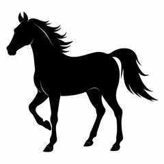 Horse Black silhouette