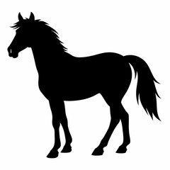 Horse Black silhouette