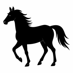 Horse Black silhouette