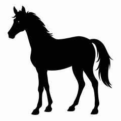 Horse Black silhouette
