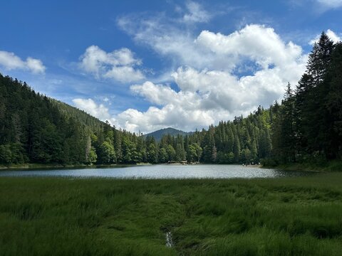 Panorama of the Ukrainian lake Synevir.