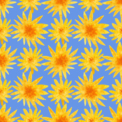 Watercolour yellow colorful flowers illustration seamless pattern. On blue background. Hand painted floral elements. Drawn Botanical. Summer, spring vibes print decor. Fabric wallpaper, wrapping. 