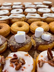 Unique donuts with chocolate, marshmallows, white icing, and bacon with bokeh