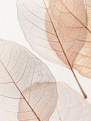 Obraz premium Beautiful leaf watercolor botanical background in pastel colors