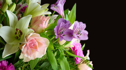 Flowers, bouquet and studio for arrangement, blossom and peace or floral collection. Plants, petal and wallpaper or decoration on black background, nature and botany for sustainable environment