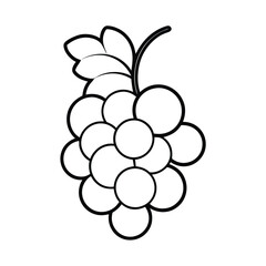 grapes line art illustration on a white background,