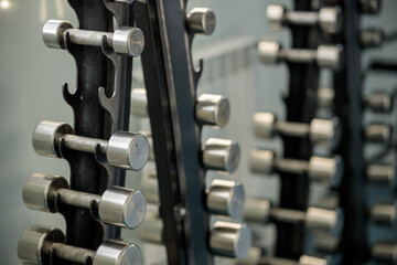 A row of dumbbells are lined up on a rack