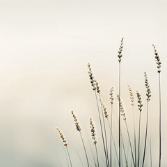 Delicate, feathery grass stalks against a soft beige sky. Concept of nature, simplicity, and tranquility.