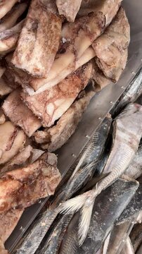 frozen fish in the fridge