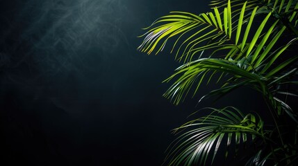 Palm in the darkness with space for text vertical image with partial illumination Divine intervention suggested