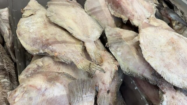 frozen fish in the fridge