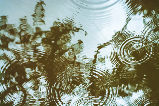 fondo acuatico abstracto,  con ondas de agua circulares en un lago y reflejoss de los &aacute;rboles 