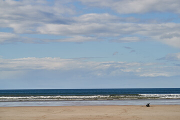 children playng on the empty beach blue cloudy sky