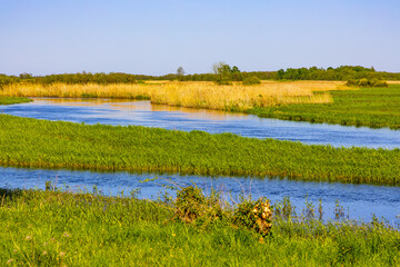 Panoramic view of Biebrza river and Biebrzanski National Park grassy wetlands seen from Burzyn village near Wizna town in Podlaskie region of Poland