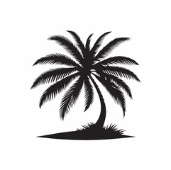 A palm tree vector 