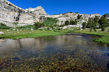 Lee Vining Creek flows through a green meadow beneath North Peak in the Hoover Wilderness of...