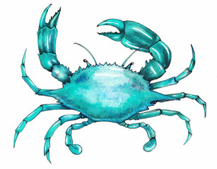 Cangrejo azul