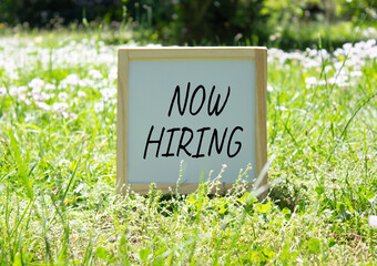 Now Hiring symbol. Concept word Now Hiring on white chalk background. Beautiful meadow background. Business and Now Hiring concept. Copy space