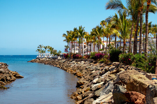 Puerto de Mogan town river by the white buildings and palms
