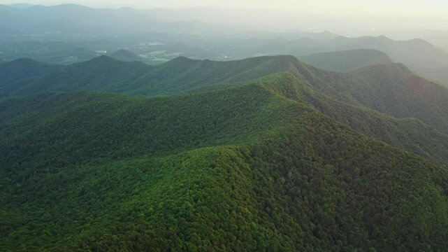 Serene Aerial View of the Lush Green Appalachian Forest near Brasstown Bald, Georgia