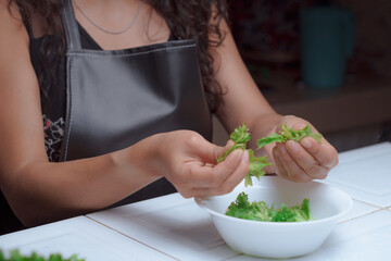 Hands of a cook with a knife cutting fresh lettuce leaves.