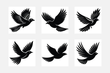 Wild bird freedom silhouette 