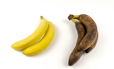 Fresh and rotten bananas. The concept of spoiled fruit.