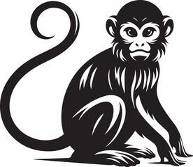 black and white illustration of a monkey