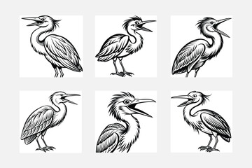collection of birds