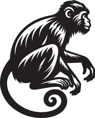 black and white background of a monkey