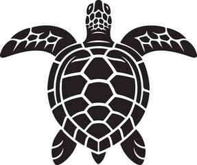 illustration of turtle