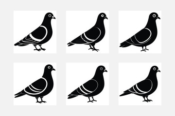 collection of birds