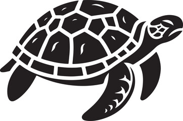 illustration of turtle
