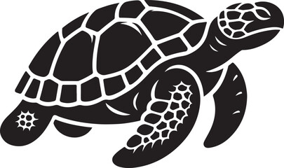 illustration of turtle