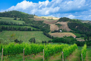 View of a beautiful vineyard in Emilia-Romagna near Bologna in Italy © Gilles Rivest