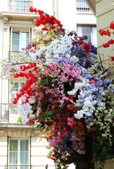 Paris - Décoration Florales