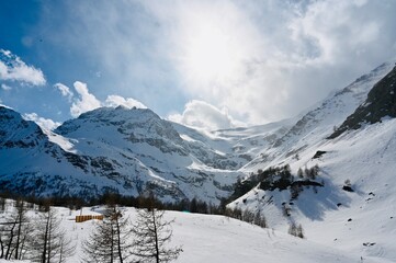 Fototapete bei efototapeten.de bestellen   