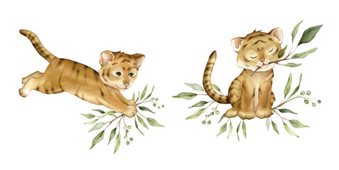 Set of cute kawaii two tigers jumping and sitting with green branch eucalyptus. Watercolor hand drawn illustration african animal isolated on background.