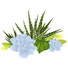 floral arrangement of different succulents and calendula