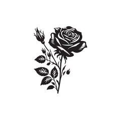illustration of a rose