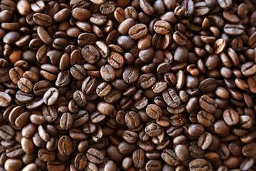 Close-up of roasted Arabica coffee beans