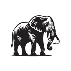 elephant illustration