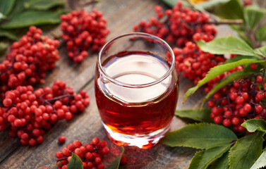 Red elder or Sambucus racemosa syrup in a glass cup