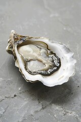 The oyster shell symbolism accentuates the metaphorical importance of using oyster shells in design and branding strategies.